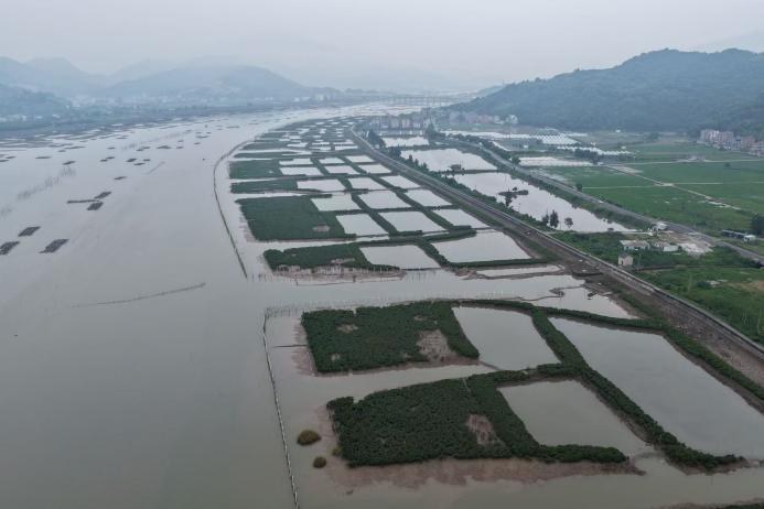 课题组开展中国沿海红树林保护修复与种养耦合野外调研