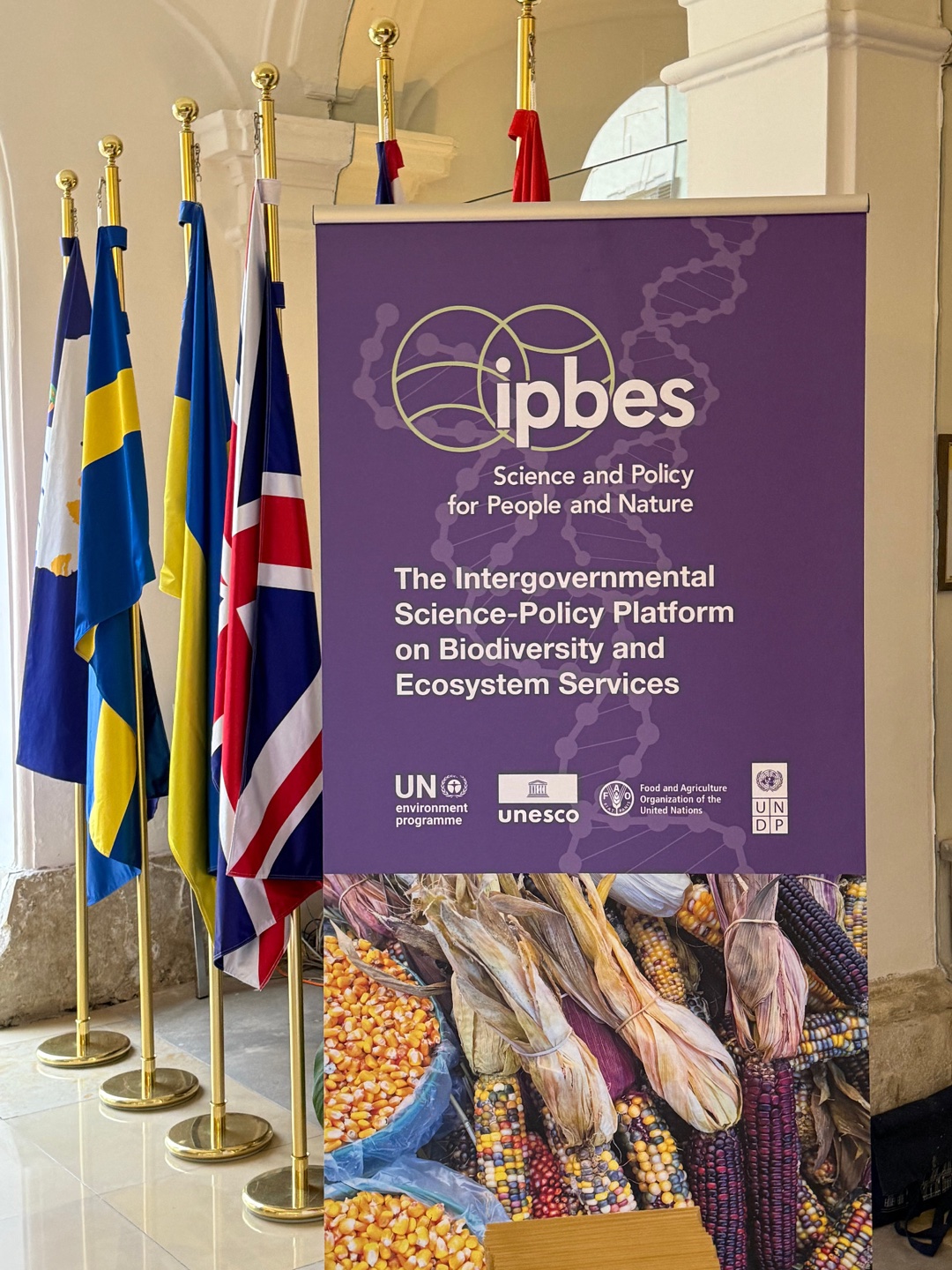 建筑内一排旗帜旁的 IPBES 展示牌